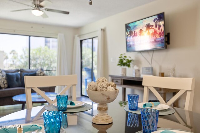 living room featuring ceiling fan