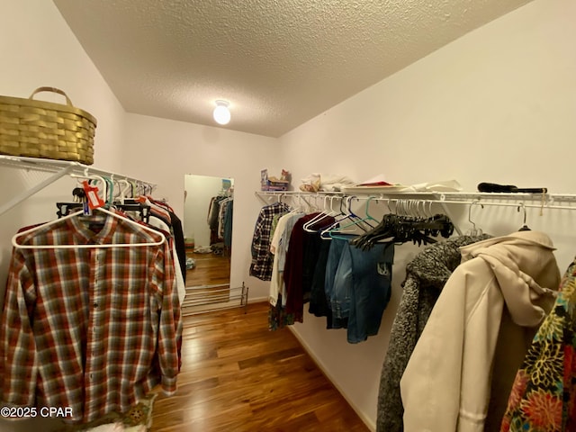 walk in closet with dark hardwood / wood-style flooring