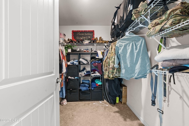 spacious closet with carpet