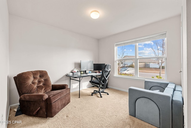 office space featuring carpet and baseboards