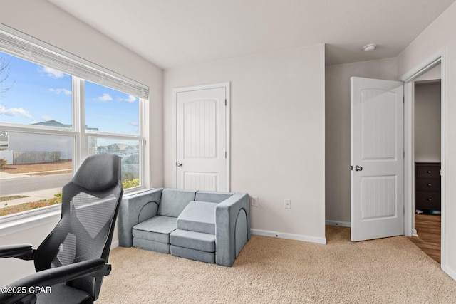 office featuring baseboards and carpet