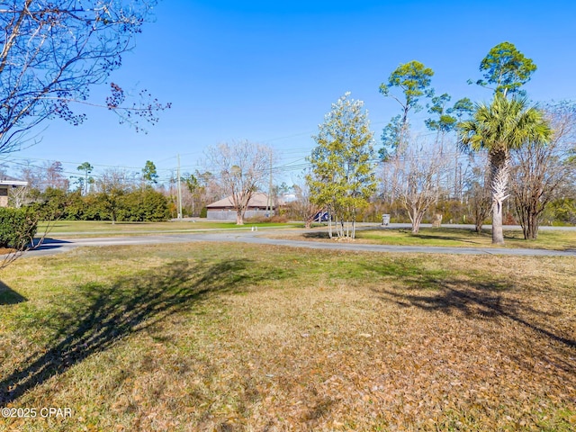 3531 Florida Ave, Panama City, FL 32405 - view of grassy yard