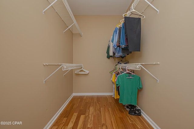 spacious closet featuring light wood-type flooring