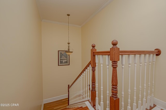 stairway featuring crown molding and hardwood / wood-style floors