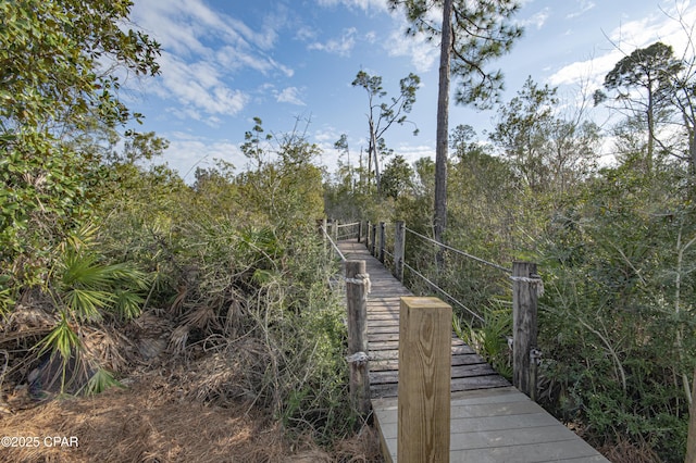 view of home's community with a dock