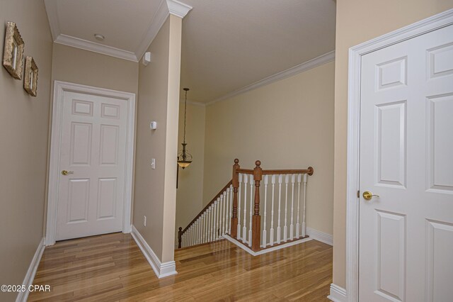 hall with ornamental molding and light hardwood / wood-style floors