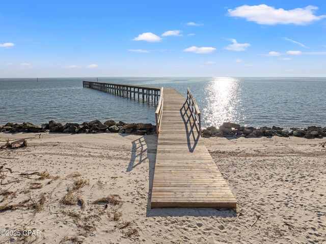 dock area with a water view