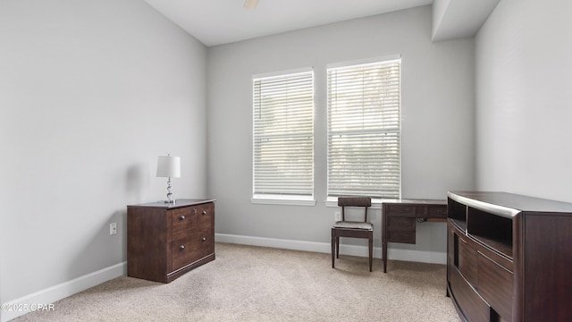 sitting room featuring light carpet