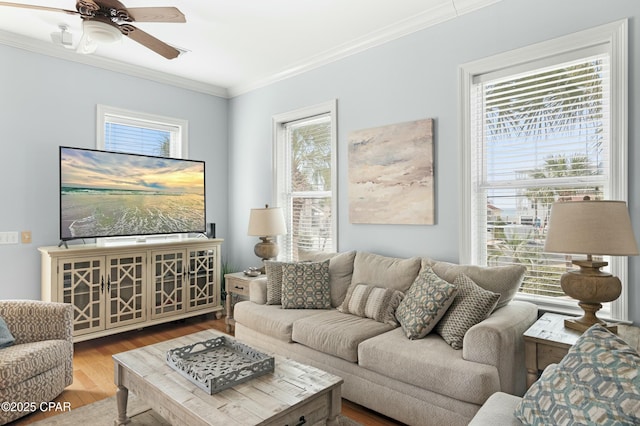 living area with ceiling fan, ornamental molding, and wood finished floors