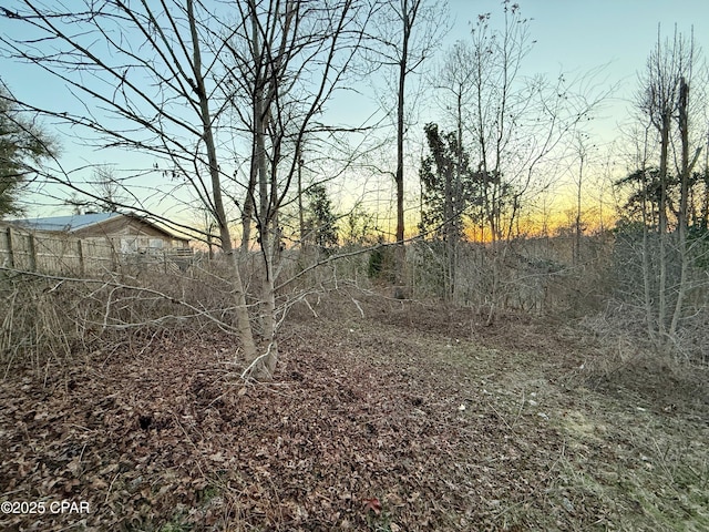 view of local wilderness