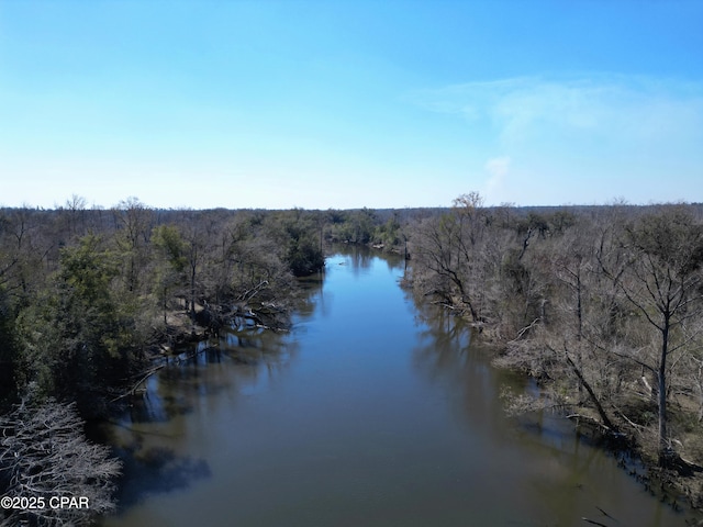 property view of water with a forest view