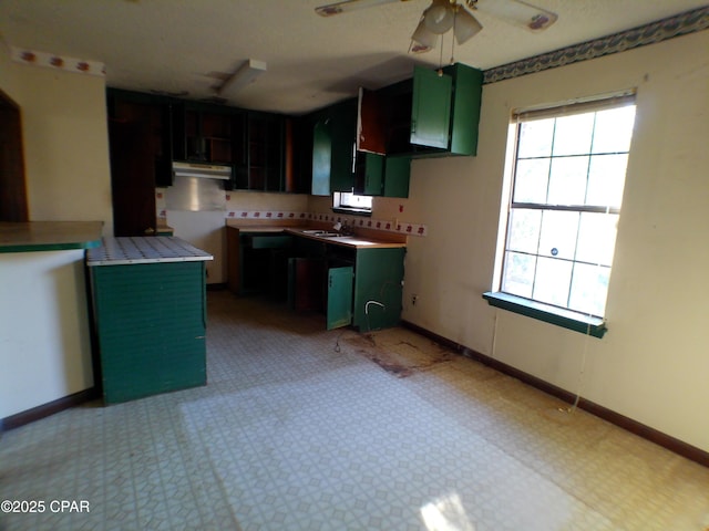 kitchen with sink, green cabinetry, and ceiling fan