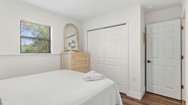 bedroom with dark hardwood / wood-style floors and a closet