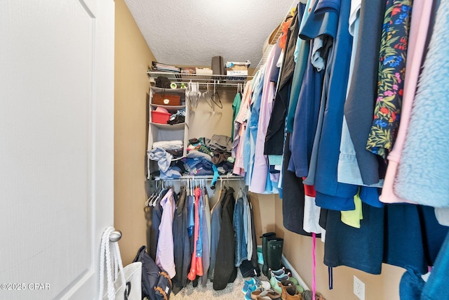 view of walk in closet