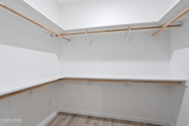 spacious closet featuring light wood-type flooring