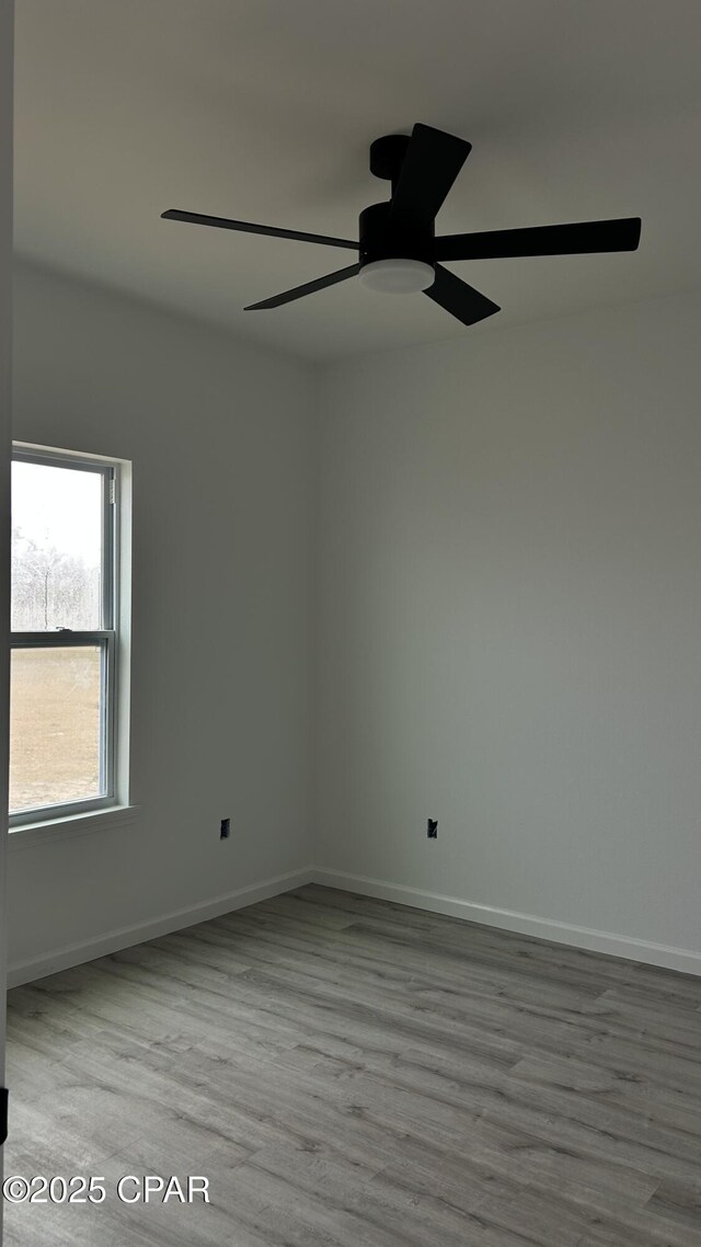 empty room with a tray ceiling, ceiling fan, and hardwood / wood-style flooring