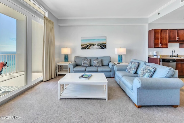 living area featuring ornamental molding and light colored carpet