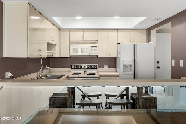 4600 Kingfish Ln Unit 508, Panama City, FL 32408 - kitchen with white appliances, a raised ceiling, a sink, ornamental molding, and light countertops