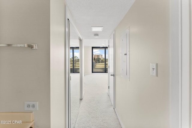 hallway with carpet and a textured ceiling