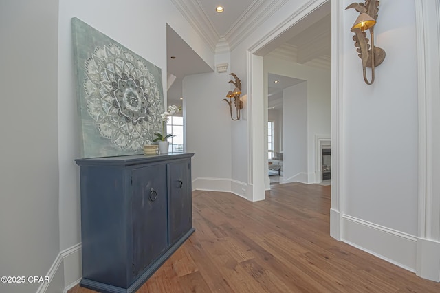 hall with crown molding and wood-type flooring