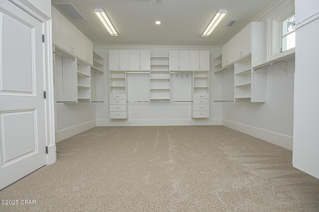 walk in closet with carpet