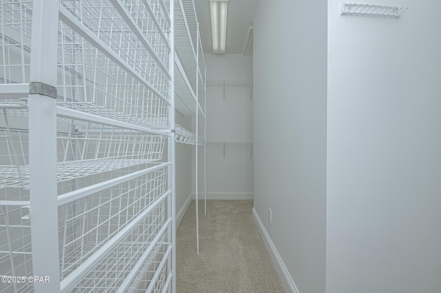 spacious closet featuring carpet