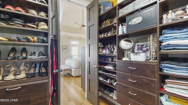 spacious closet with light wood-type flooring