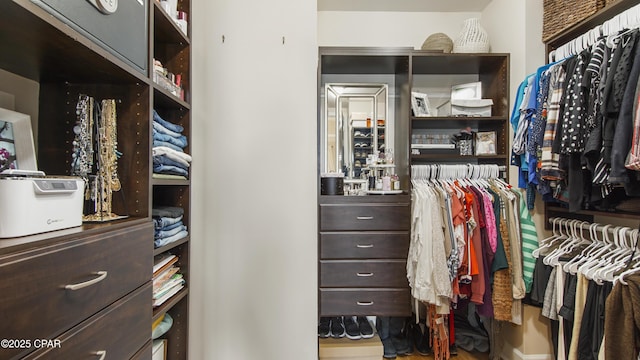 view of walk in closet