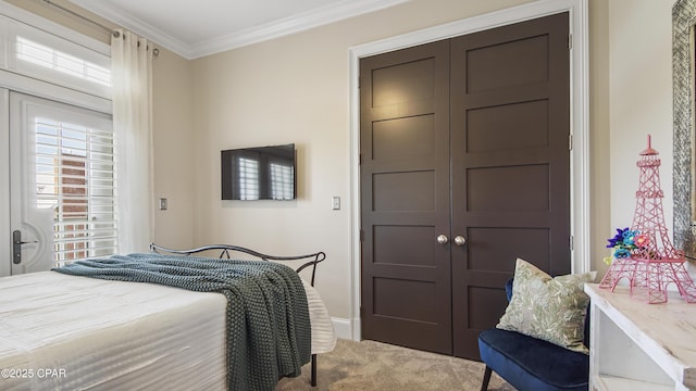 carpeted bedroom with ornamental molding and a closet