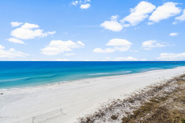 property view of water featuring a beach view