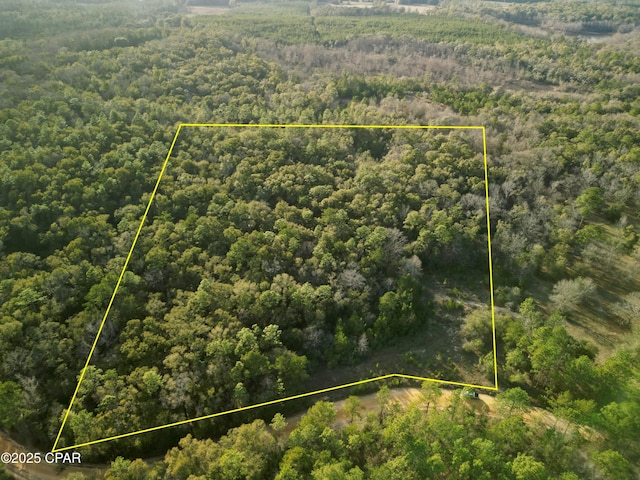 000 Creek Run Rd, Vernon FL, 32462 land for sale