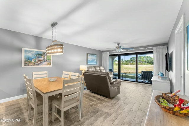 dining room with ceiling fan and light hardwood / wood-style flooring