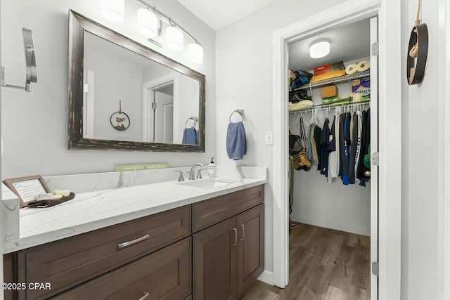 bathroom with vanity and wood-type flooring