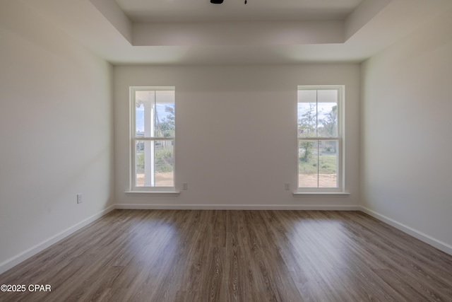 spare room with a tray ceiling, a healthy amount of sunlight, and baseboards