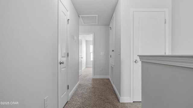 hallway featuring attic access, carpet, and baseboards