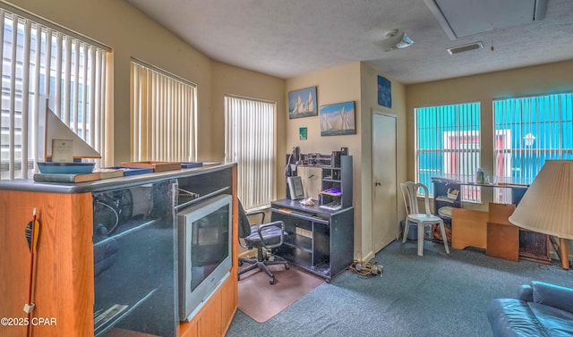 423 Snook Ln, Panama City Beach, FL 32408 - carpeted home office featuring a textured ceiling and a wealth of natural light