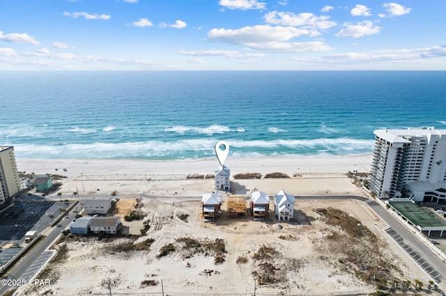 water view featuring a beach view