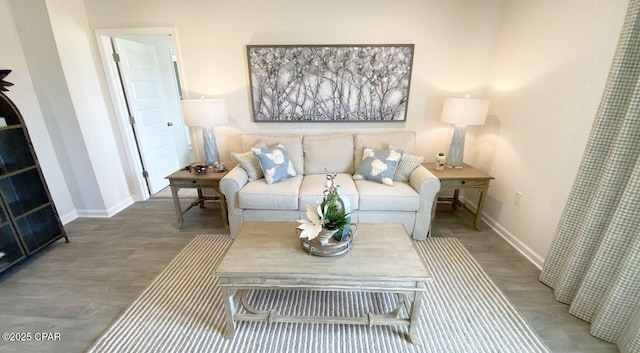 living room with hardwood / wood-style flooring