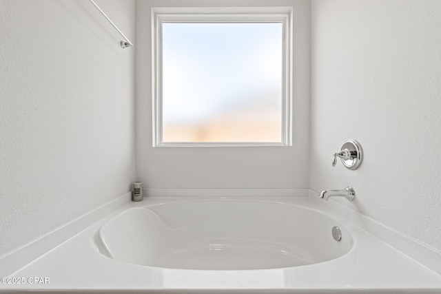 bathroom featuring a washtub