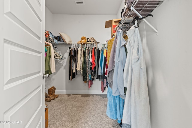 spacious closet with carpet