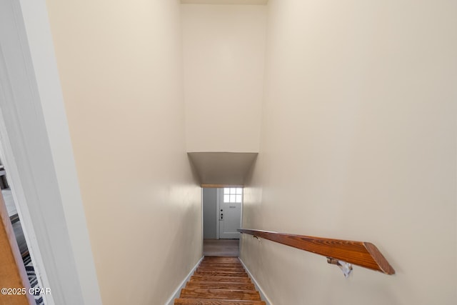 staircase with wood-type flooring