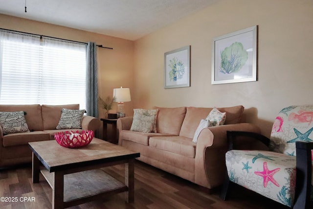 living room featuring dark hardwood / wood-style flooring