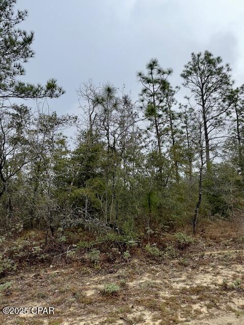 Listing photo 3 for LOT25 Aldoro Cir, Chipley FL 32428