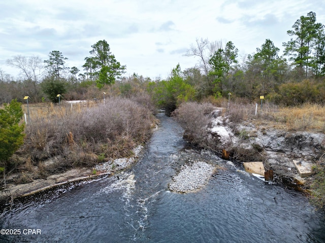 view of nature