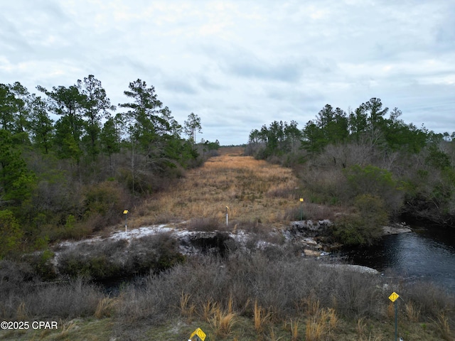 view of local wilderness