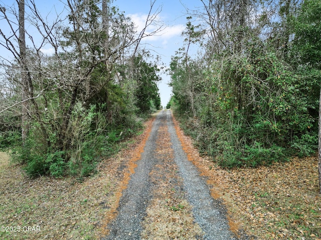 view of road