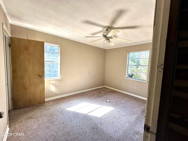 empty room with crown molding, ceiling fan, and carpet