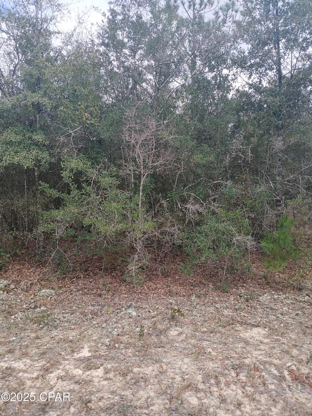 Listing photo 2 for LOT17 Westbrook Dr, Chipley FL 32428