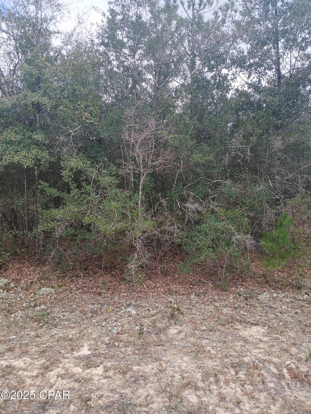LOT17 Westbrook Dr, Chipley, FL 32428