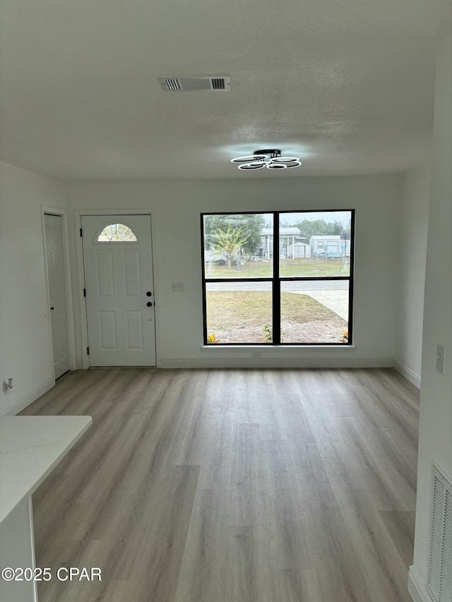 entrance foyer featuring light wood-type flooring